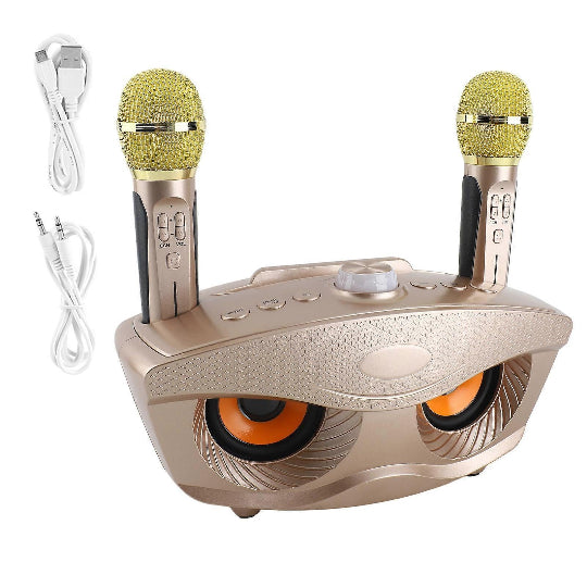 SDRD SD-306S Portable Karaoke Wireless Bluetooth Speaker with 2 Microphones (Gold)
