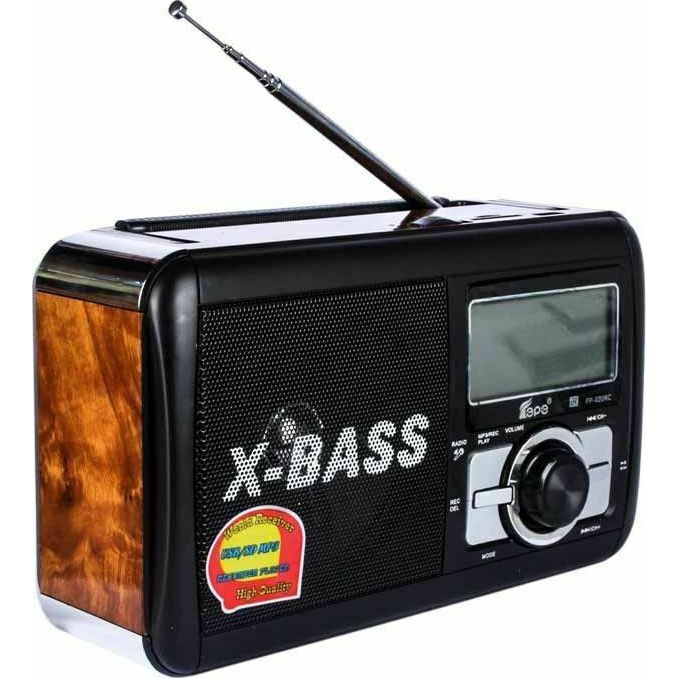 FP-920-RC Portable Radio Rechargeable with USB Brown