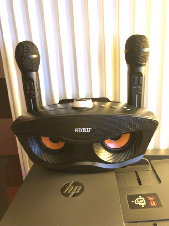 SDRD SD-306S Portable Karaoke Wireless Bluetooth Speaker with 2 Microphones (Black)