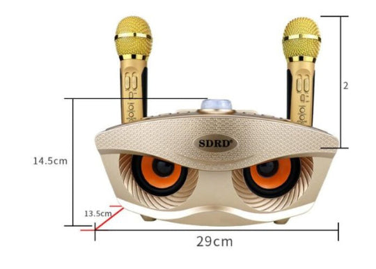 SDRD SD-306S Portable Karaoke Wireless Bluetooth Speaker with 2 Microphones (Gold)