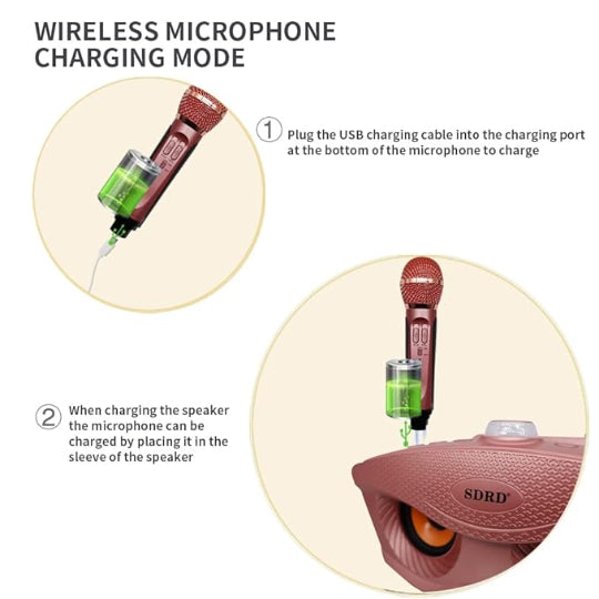 SDRD SD-306S Portable Karaoke Wireless Bluetooth Speaker with 2 Microphones (Rose Gold)