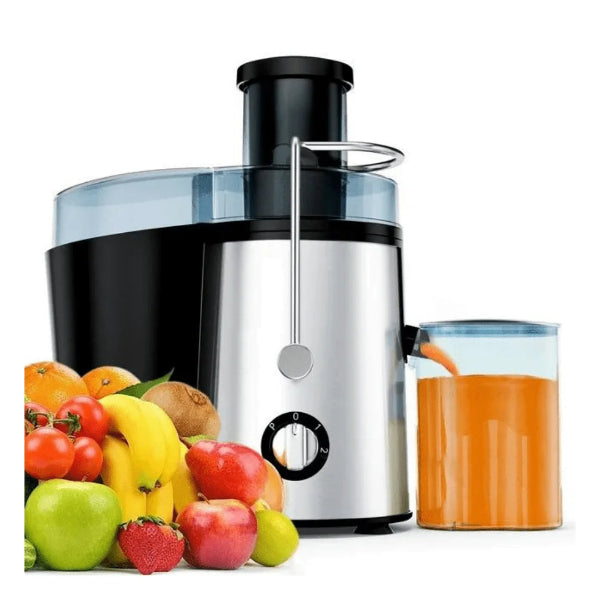 Dessini Juicer Blender high quality Stainless Steel 500W 1L + 350ml DS-199