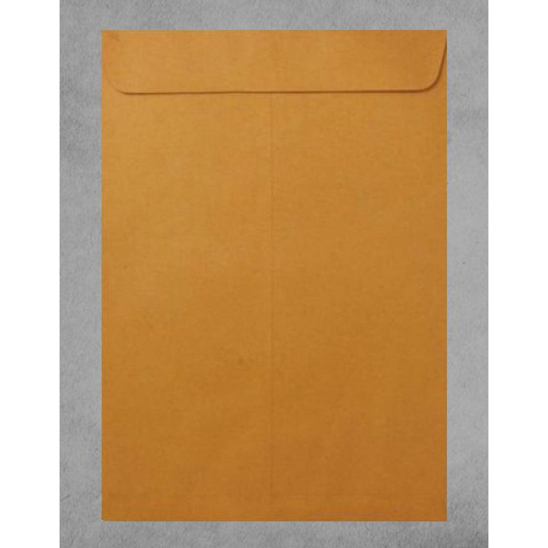 Blank Brown Envelopes 27x19cm