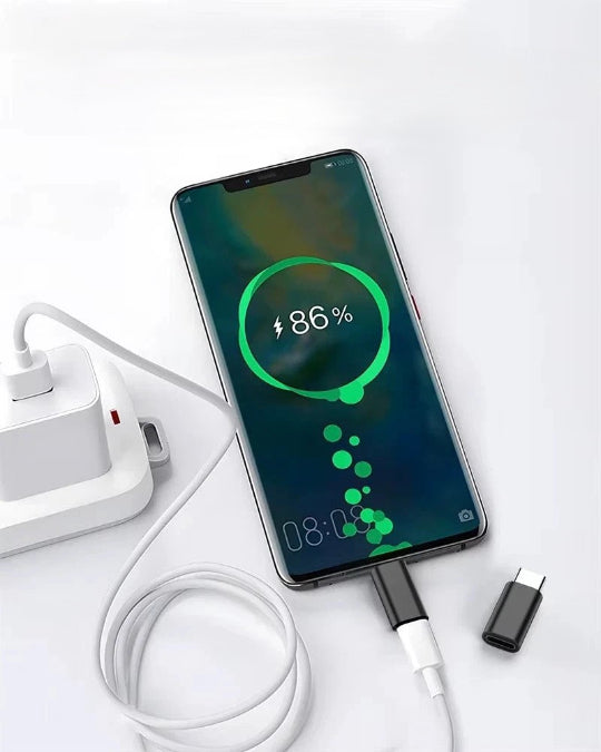 Lightning Female to USB-C Male Cable Adapter Fast Charging Converter (Black)