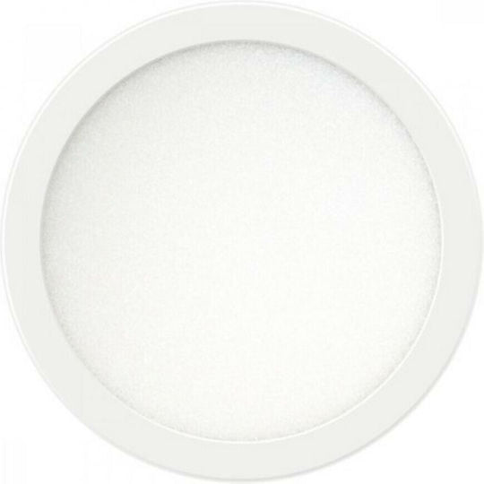 Ant Round Panel Led 24W 4000K 300mm